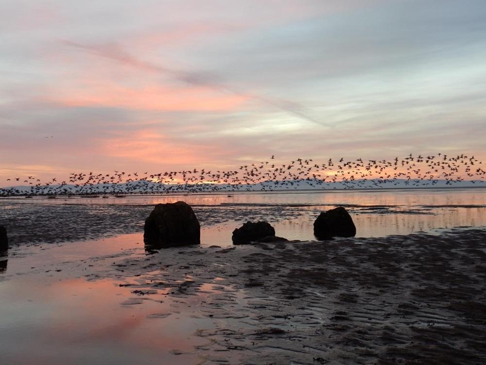 Shelduck Cottage Mainsriddle Zewnętrze zdjęcie