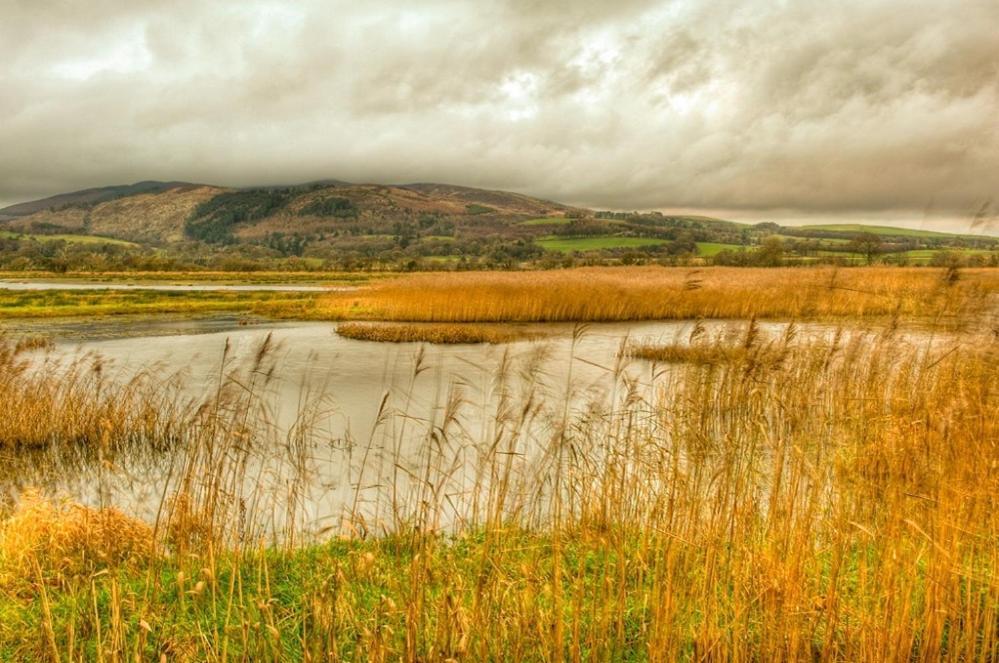 Shelduck Cottage Mainsriddle Zewnętrze zdjęcie